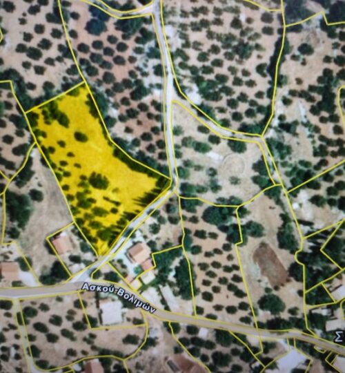 Prime 3.649,77 sq.m. Investment Land Plot Within Settlement Boundaries – Skinaria, Zakynthos
