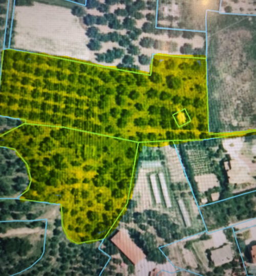 Prime 13,280 sq.m. Land Plot for Sale – Panagoula, Zakynthos