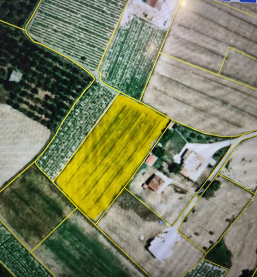 Investment Land in Gaitani, Zakynthos